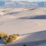 where is white sands