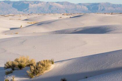 where is white sands