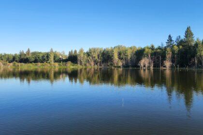 elk island national park
