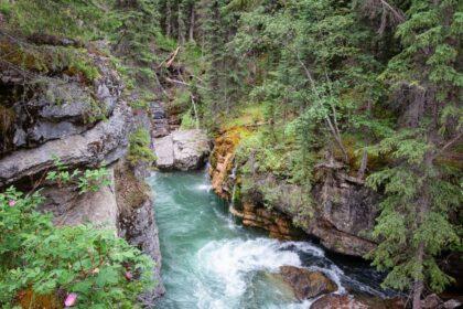 malign canyon jasper
