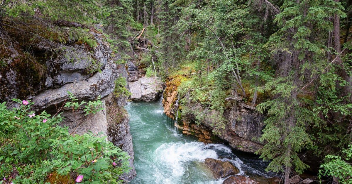 Maligne Canyon: Exploring Jasper National Park's Hidden Gem