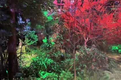 muttart conservatory