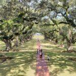 Oak Alley Plantation