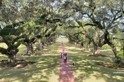 Oak Alley Plantation