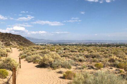 Petroglyph National Monument Rinconada Canyon Trail