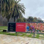 de young museum san francisco