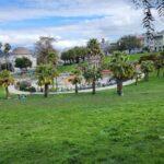 mission dolores park san francisco