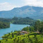 munnar tea planations, kerala