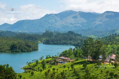 munnar tea planations, kerala
