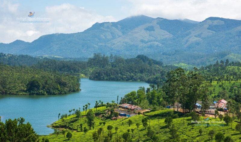munnar tea planations, kerala