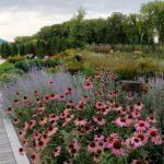 sensory garden, outdoor garden at the leaf, Assiniboine Park
