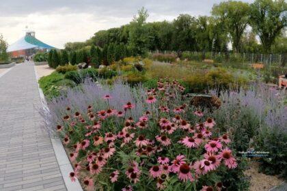 sensory garden, outdoor garden at the leaf, Assiniboine Park