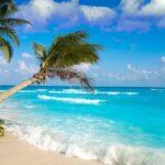 best things to do in playa del carmen