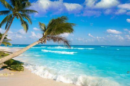 best things to do in playa del carmen