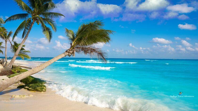 best things to do in playa del carmen