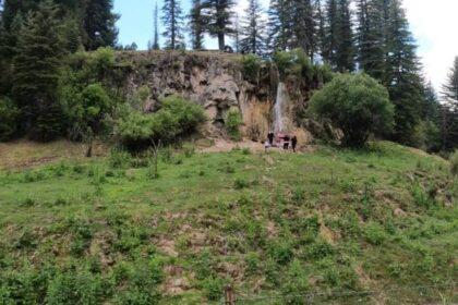 bluff springs cloudcroft