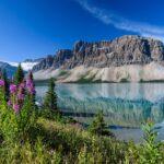 bow lake banff national park alberta