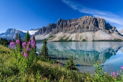bow lake banff national park alberta