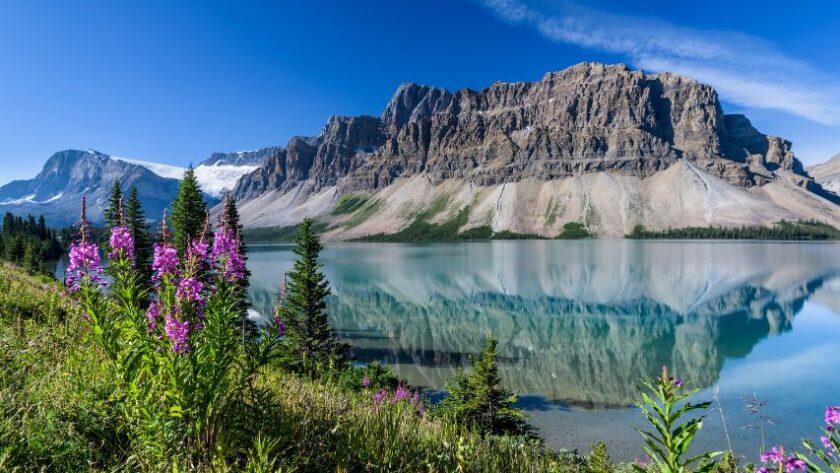 bow lake banff national park alberta