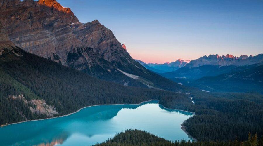 morning at peyto lake